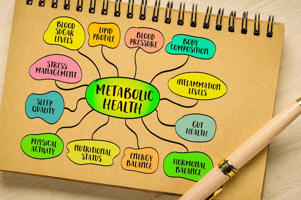 Hydration, Digestion, and Metabolism: The Essential Connection